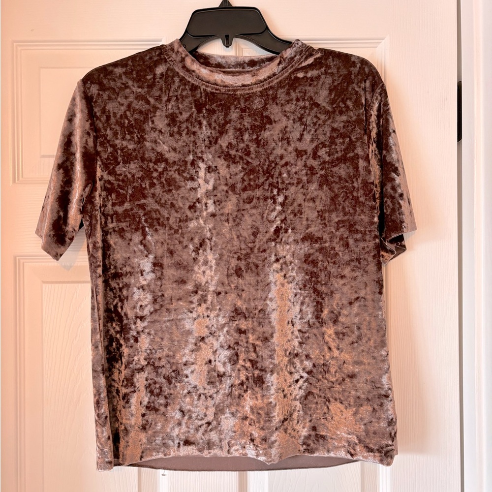 Shein Velvet Short Sleeve Top